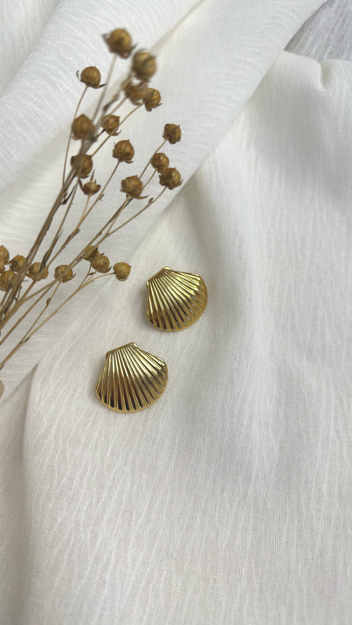 Golden Shell